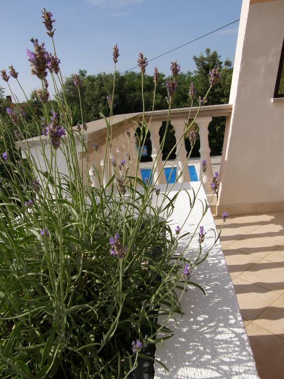 Apartment Zaton  Dış mekan fotoğraf